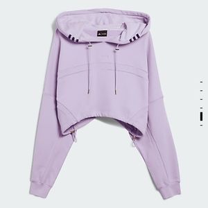 Ivy Park Rodeo crop hoodie